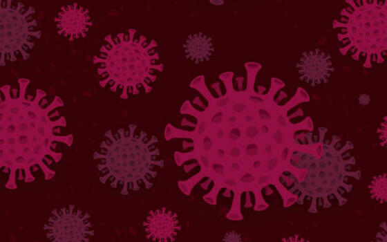 Microscopic image of the Covid-19 virus