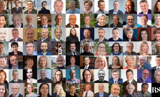 A collage of portraits of new fellows.