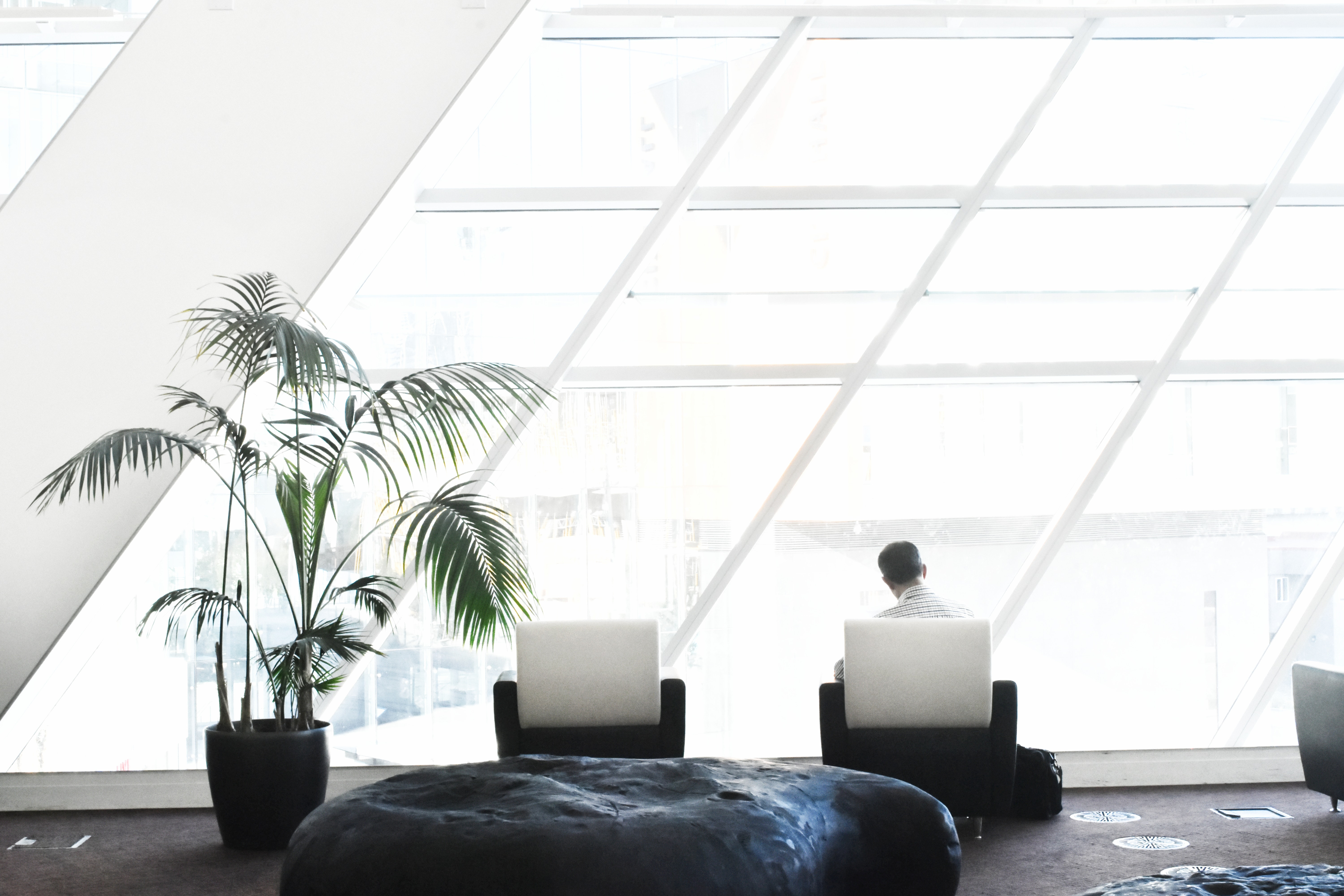 A man sits in a bright white room facing away, there is a palm tree in a pot.